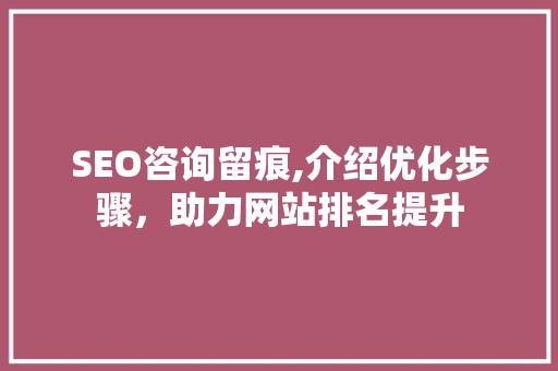 SEO咨询留痕,介绍优化步骤，助力网站排名提升