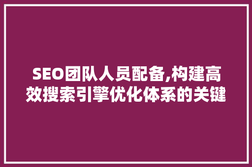 SEO团队人员配备,构建高效搜索引擎优化体系的关键