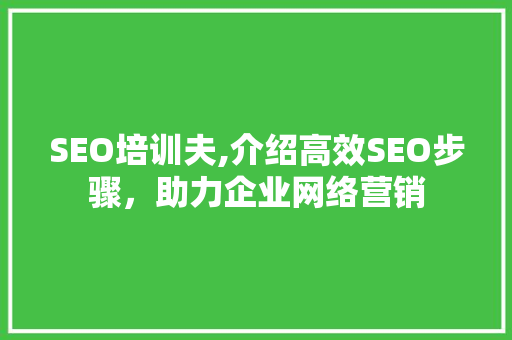 SEO培训夫,介绍高效SEO步骤，助力企业网络营销