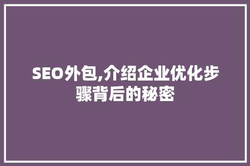 SEO外包,介绍企业优化步骤背后的秘密
