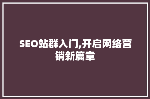 SEO站群入门,开启网络营销新篇章