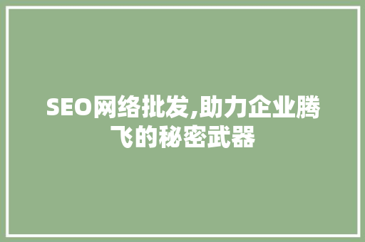 SEO网络批发,助力企业腾飞的秘密武器