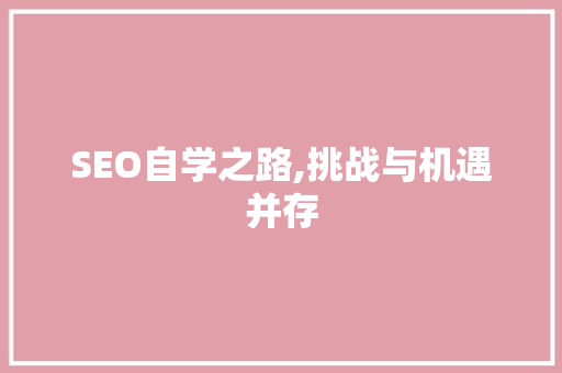 SEO自学之路,挑战与机遇并存