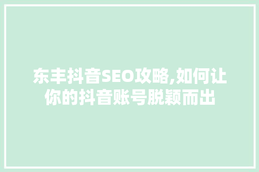 东丰抖音SEO攻略,如何让你的抖音账号脱颖而出