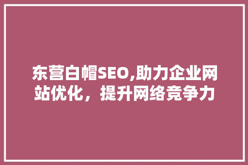东营白帽SEO,助力企业网站优化，提升网络竞争力