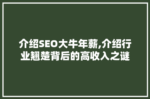 介绍SEO大牛年薪,介绍行业翘楚背后的高收入之谜