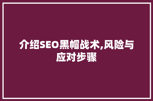 介绍SEO黑帽战术,风险与应对步骤