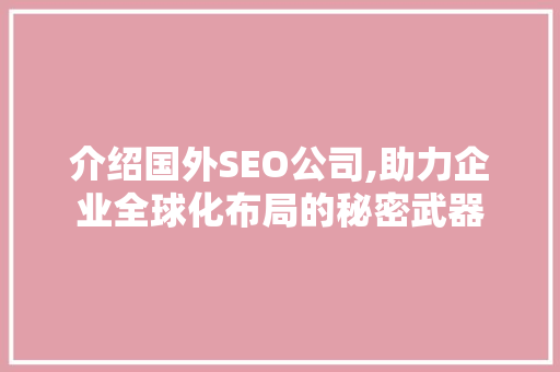 介绍国外SEO公司,助力企业全球化布局的秘密武器