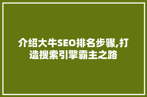 介绍大牛SEO排名步骤,打造搜索引擎霸主之路