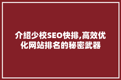 介绍少校SEO快排,高效优化网站排名的秘密武器