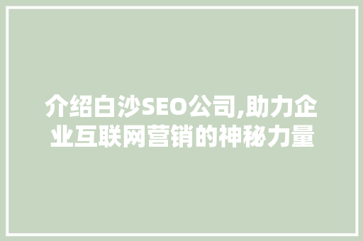 介绍白沙SEO公司,助力企业互联网营销的神秘力量
