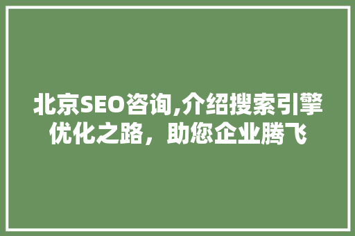 北京SEO咨询,介绍搜索引擎优化之路，助您企业腾飞