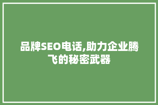 品牌SEO电话,助力企业腾飞的秘密武器
