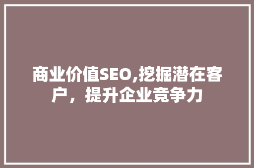 商业价值SEO,挖掘潜在客户，提升企业竞争力