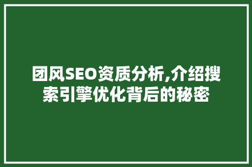 团风SEO资质分析,介绍搜索引擎优化背后的秘密
