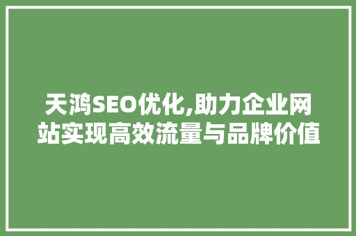 天鸿SEO优化,助力企业网站实现高效流量与品牌价值双提升