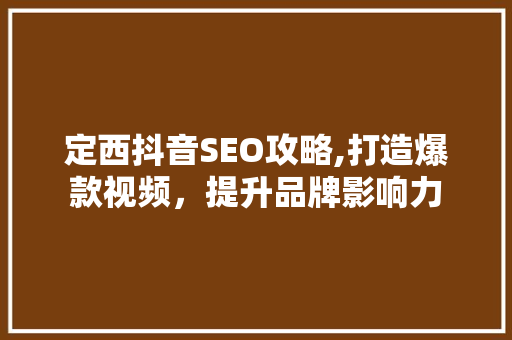 定西抖音SEO攻略,打造爆款视频，提升品牌影响力