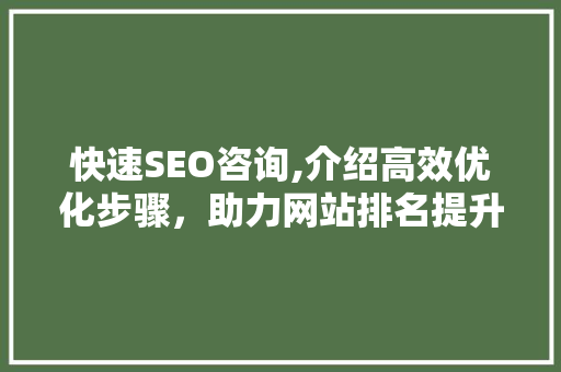 快速SEO咨询,介绍高效优化步骤，助力网站排名提升