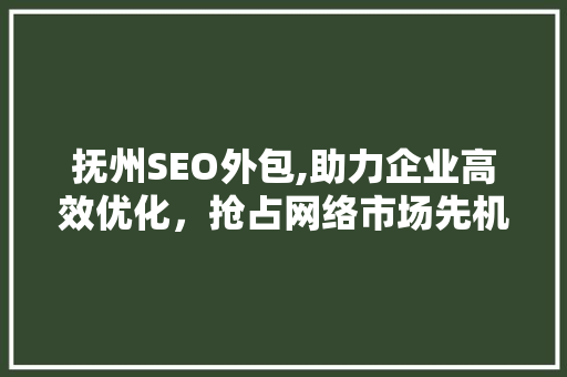抚州SEO外包,助力企业高效优化，抢占网络市场先机