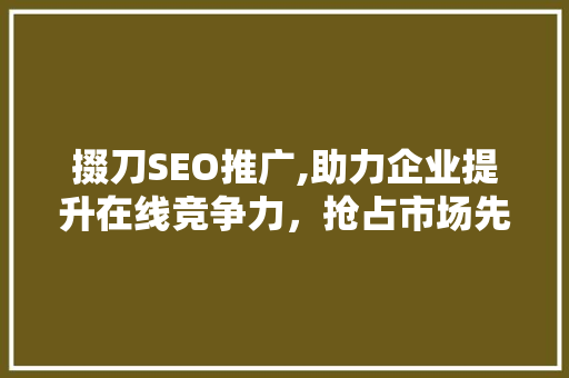 掇刀SEO推广,助力企业提升在线竞争力，抢占市场先机