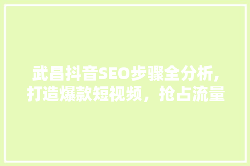 武昌抖音SEO步骤全分析,打造爆款短视频，抢占流量高地