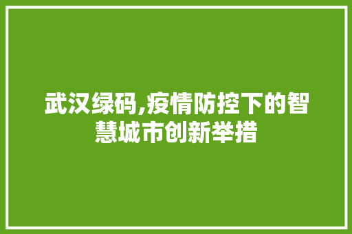 武汉绿码,疫情防控下的智慧城市创新举措