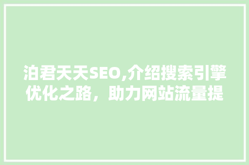 泊君天天SEO,介绍搜索引擎优化之路，助力网站流量提升