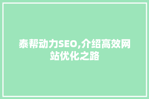 泰帮动力SEO,介绍高效网站优化之路