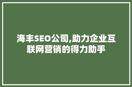 海丰SEO公司,助力企业互联网营销的得力助手