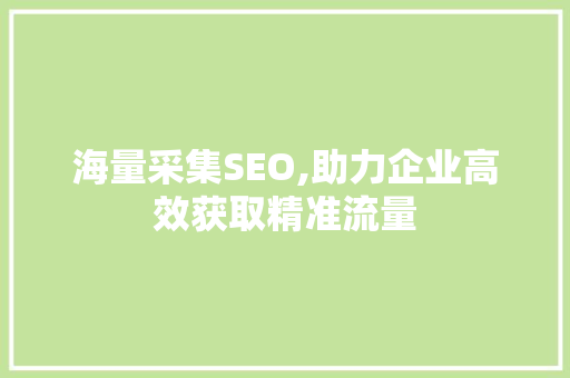 海量采集SEO,助力企业高效获取精准流量