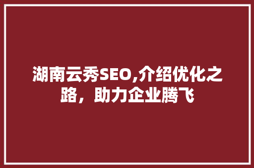 湖南云秀SEO,介绍优化之路，助力企业腾飞