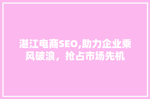 湛江电商SEO,助力企业乘风破浪，抢占市场先机