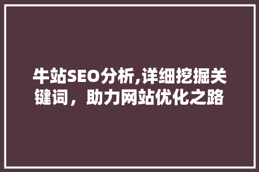 牛站SEO分析,详细挖掘关键词，助力网站优化之路
