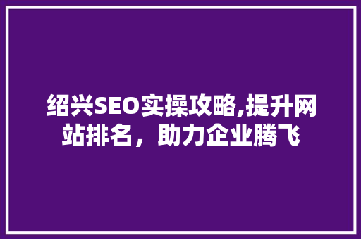 绍兴SEO实操攻略,提升网站排名，助力企业腾飞