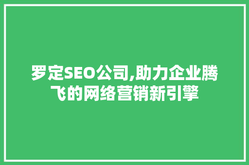 罗定SEO公司,助力企业腾飞的网络营销新引擎
