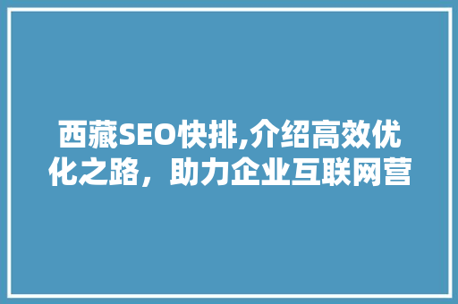 西藏SEO快排,介绍高效优化之路，助力企业互联网营销