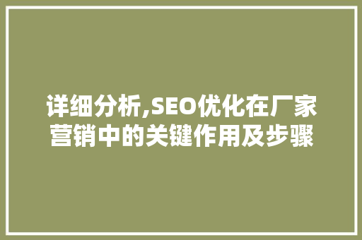 详细分析,SEO优化在厂家营销中的关键作用及步骤