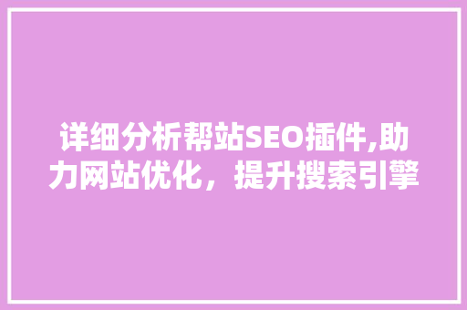 详细分析帮站SEO插件,助力网站优化，提升搜索引擎排名