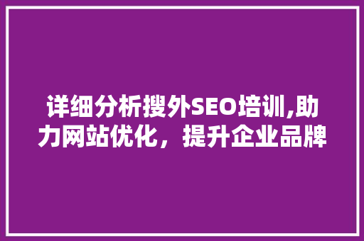 详细分析搜外SEO培训,助力网站优化，提升企业品牌影响力