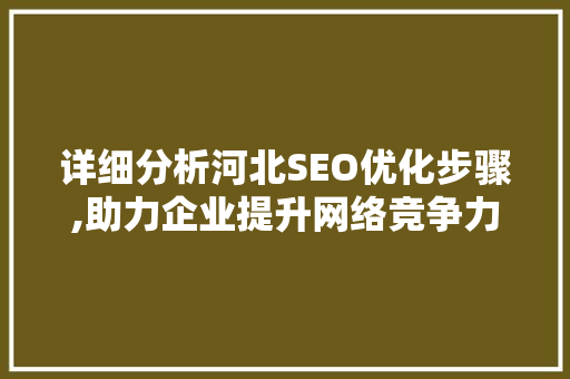 详细分析河北SEO优化步骤,助力企业提升网络竞争力