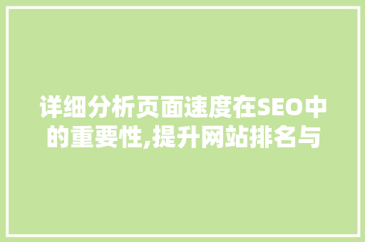 详细分析页面速度在SEO中的重要性,提升网站排名与用户体验的双重步骤