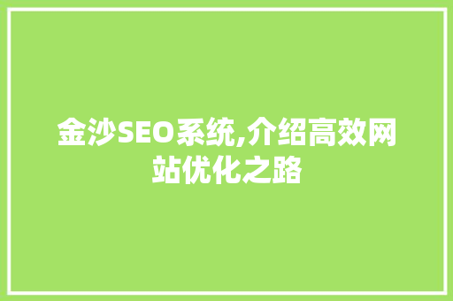 金沙SEO系统,介绍高效网站优化之路