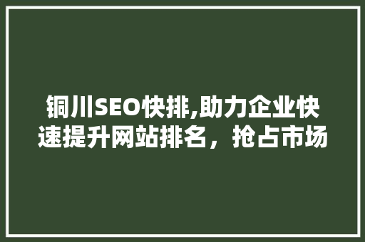 铜川SEO快排,助力企业快速提升网站排名，抢占市场先机