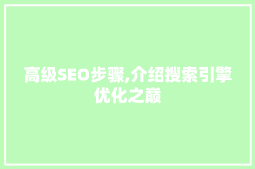 高级SEO步骤,介绍搜索引擎优化之巅