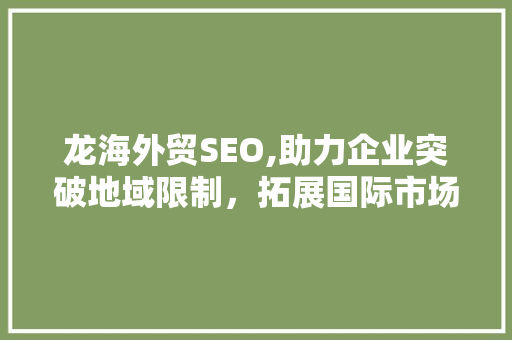 龙海外贸SEO,助力企业突破地域限制，拓展国际市场