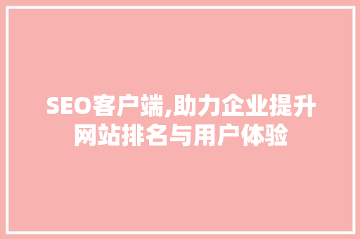 SEO客户端,助力企业提升网站排名与用户体验