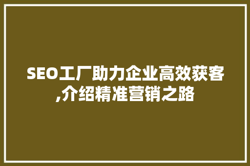 SEO工厂助力企业高效获客,介绍精准营销之路