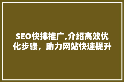 SEO快排推广,介绍高效优化步骤，助力网站快速提升排名