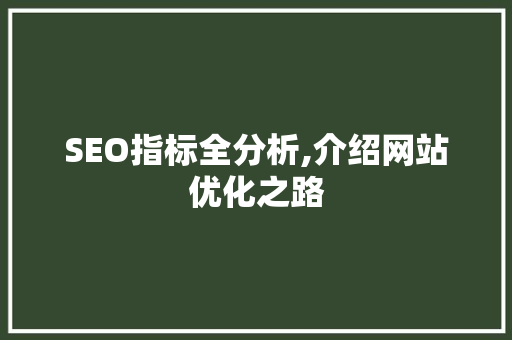 SEO指标全分析,介绍网站优化之路