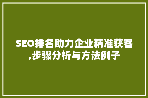 SEO排名助力企业精准获客,步骤分析与方法例子
